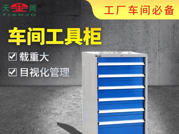蘇州生產(chǎn)車間工具柜的廠家哪家好？【天金岡】